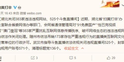 91国产网址,揭秘国内热门影视娱乐平台