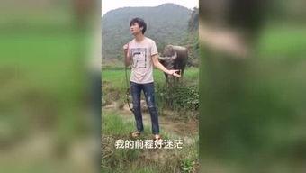 午夜福利视频在线国产,揭秘国产视频的精彩瞬间